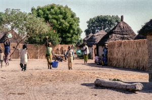 wietse-jongsma-DJa0dqgMluM-unsplash